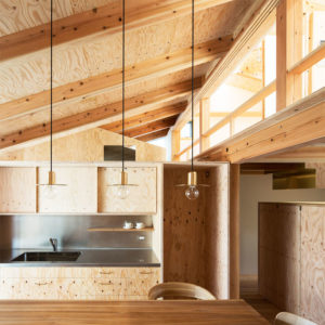 Plywood/Architectural Plywood